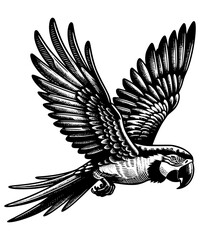 Macaw Parrot in Flight