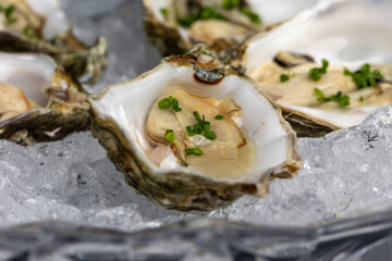 Ice plating with oysters isolate close up