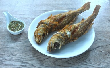 deep fried croaker fish dipping Thai spicy seafood sauce on plate