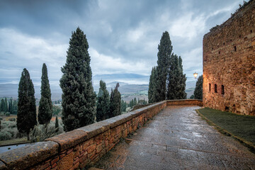 Cypress-Lined Pathway with View of Val d'Orcia, Pienza