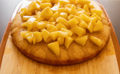 Delicious Homemade Apple Cake - Cozy Fall Baking Recipe Close-Up