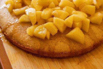 Delicious Homemade Apple Cake - Cozy Fall Baking Recipe Close-Up