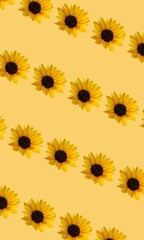 Colorful floral pattern background