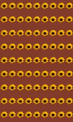 Colorful floral pattern background