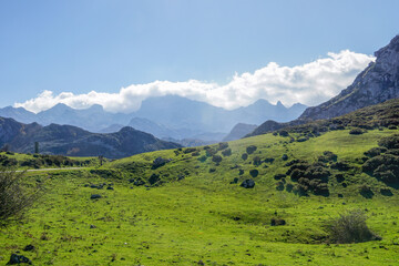 Covadonga Lakes, Picos de Europa- beautiful spot in Spain, Asturias