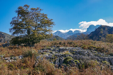 Covadonga Lakes, Picos de Europa- beautiful spot in Spain, Asturias