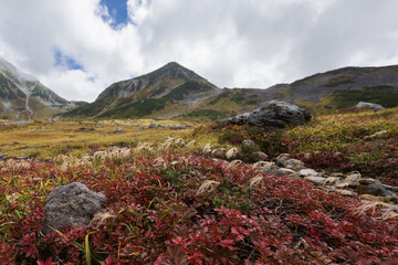 室堂平の秋