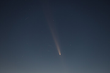 紫金山アトラス彗星
