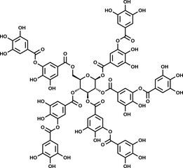 Tannic acid structural formula, vector illustration