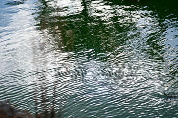 Close-up of the moat of nijo jo castle, Kyoto, Japan. World Heritage Site. Water reflection with plants. Major tourist attraction in Kansai region in Japan. Nature scene.