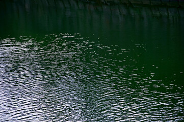 Close-up of the moat of nijo jo castle, Kyoto, Japan. World Heritage Site. Water reflection with plants. Major tourist attraction in Kansai region in Japan. Nature scene.