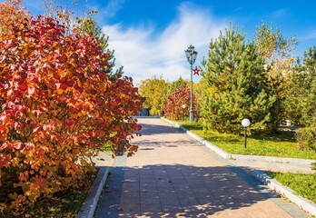 Landscape of the public park of the city of Khabarovsk. Golden autumn.