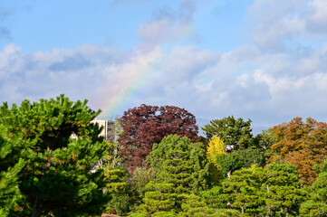 Fototapeta premium Rainbow on the sky from the view of nijo jo castle, Kyoto, Japan. World Heritage Site. Major tourist attraction in Kansai region in Japan. Japan famous historic architecture. Nature scene.