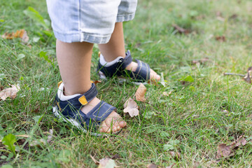 Little child walks in the park in too small sandals.