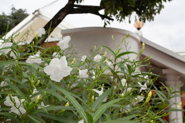 Vintage outdoor coffee table in cafe terrace