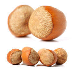 Hazelnuts on a white background