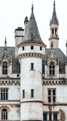 Fototapeta premium A historic castle with a tall tower and intricate architectural details.