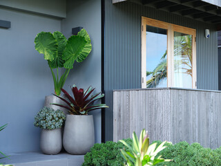 Modern looking window with wood outline and plants