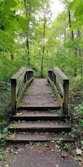 Fototapeta premium Dangerous Bridge through the Enchanted Forest: Wooden Path amongst Greenery