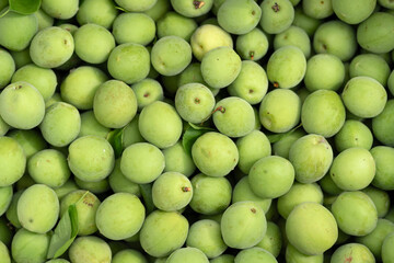 A pile of green plums is displayed, known for their tart taste and culinary uses.