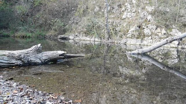 Natural wonders on the river Gradac, Serbia, which they want to destroy with polluting lithium mines and etc 26