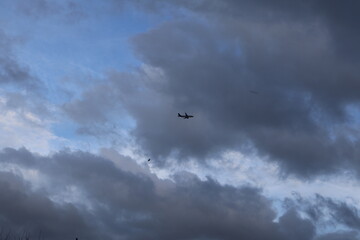AVION DANS LE CIEL