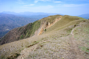 竜ヶ岳の登山道