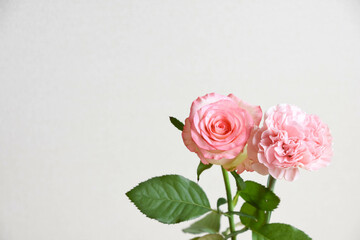 薔薇とカーネーション