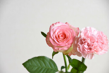 Fototapeta premium 薔薇とカーネーション