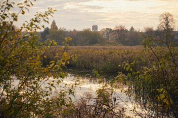 jezioro,wieża kościelna 