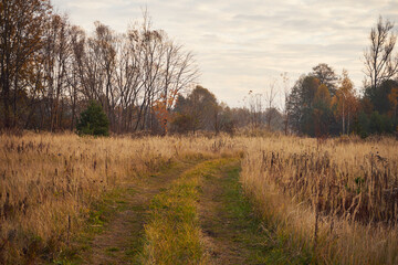 polna droga  © Marcin Łazarczyk