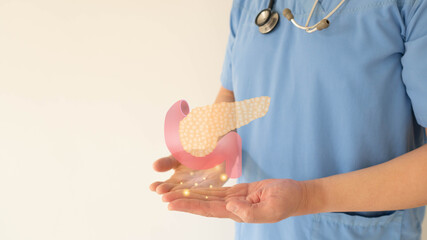 Pancreas organ anatomy on doctor hands. Awareness of pancreatitis and pancreatic cancer concept.
