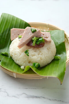 Sticky rice topped with green onions and meatloaf .