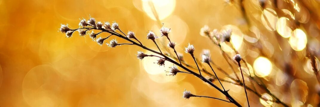  A flower in focus on a branch against a backdrop of softly blurred lights Foreground shows an intentionally imprecise floral image