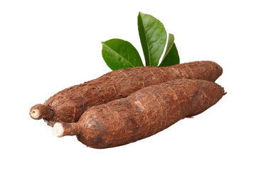 Cassava root and its leaf isolated transparent