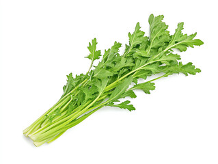 Fresh and vibrant lettuce with crisp green leaves and tender stalks on white background, perfect for salads and garnishes, adding refreshing touch to any dish