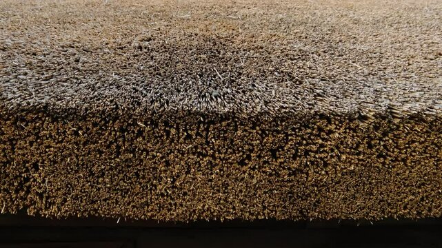 Traditional thatched roof with densely packed dried reeds. Close-up