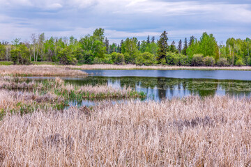 pond in spring near Kalispell, Montana