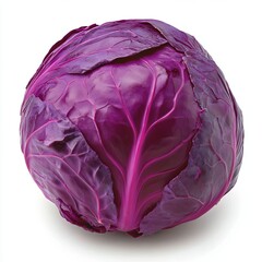 Obraz premium red cabbage on a white background