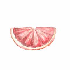 A beautifully detailed watercolor slice of pink grapefruit showcasing vibrant shades and natural texture