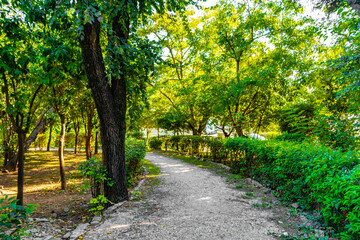 Fototapeta premium City park Nationalgarten with path and nature in Athens Greece.