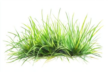 Lush Green Grass Watercolor Illustration for Natural and Environmental Concepts