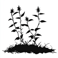 Obraz premium black silhouette of plant in soil with spikes on leaves