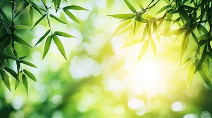 Obraz premium Sunlit Green Leaves with Blurred Bokeh Background