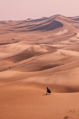 Red sand "Arabian desert" near Dubai, Riyadh, Saudi Arabia