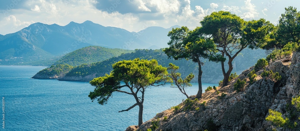 Poster trees on the background of the sea and mountains