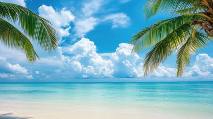 A tranquil tropical beach featuring a palm tree crystal clear water and soft clouds against a vibrant sky