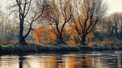 Obraz premium Trees On The River Bank