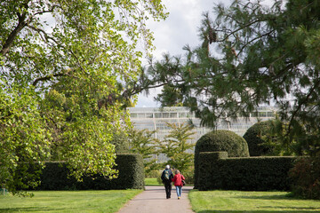 Fototapeta premium walking in the park Kew Garden