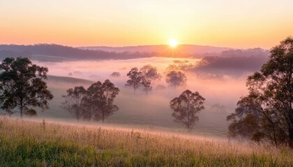 Fototapeta premium A breathtaking sunrise over a misty landscape, with gentle rolling hills and silhouettes of trees, creating a serene and tranquil atmosphere, perfect for nature lovers.